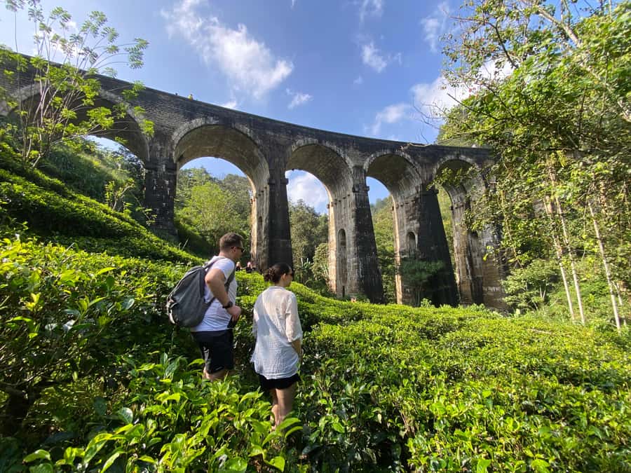 Ella: Ultimate Experience with Cooking Class & Hike - The Itinerary: What to Expect on Your Day in Ella