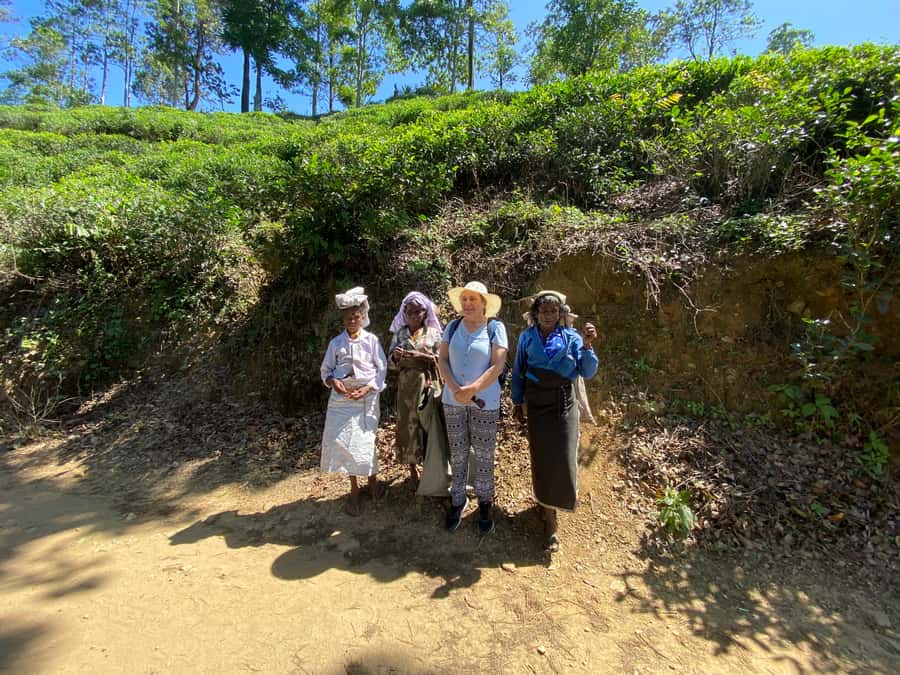 Ella: Ultimate Experience with Cooking Class & Hike - Final Thoughts