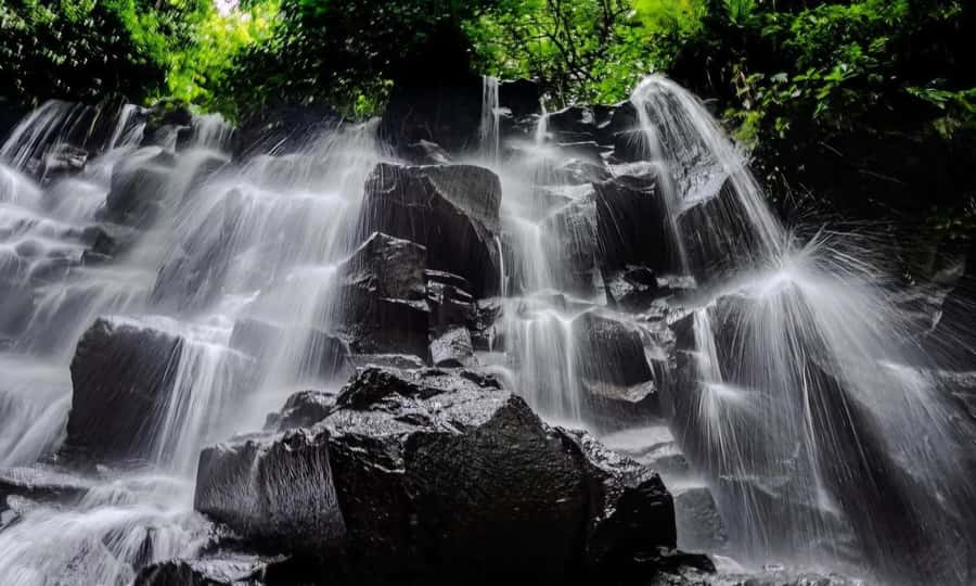 Best of Ubud: Waterfall, Temple & Rice Terrace - Who Should Book This Tour?