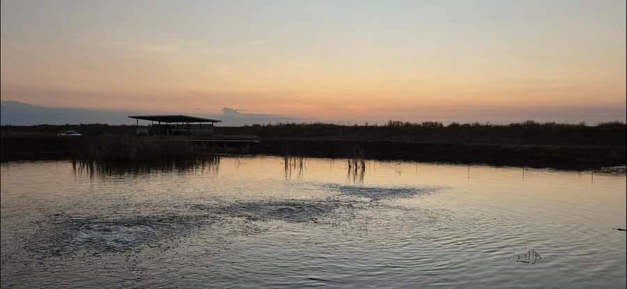 Darwin: Barramundi Fishing Experience - Who Should Book This Experience?