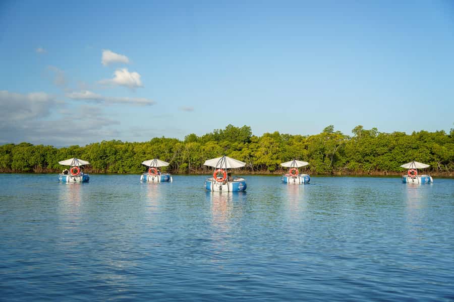 Denarau: Self Drive BBQ eBoat Cruise with Onboard BBQ Fiji - Denarau: Self Drive BBQ eBoat Cruise with Onboard BBQ Fiji