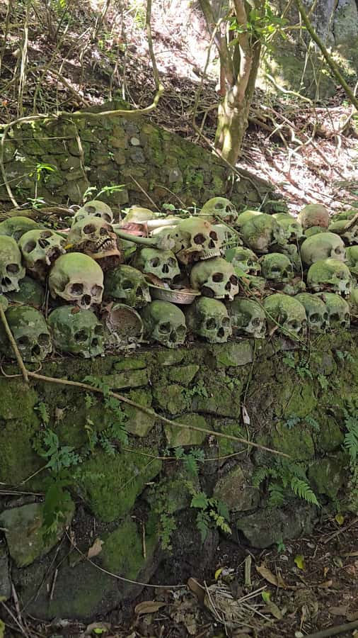 Bali: Terunyan Sunrise Trekking and Cemetery Tour - Why This Tour Is Worth Considering