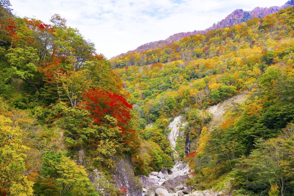 Nagano: Private Walking Tour with a Local - The Sum Up: Is This Tour for You?