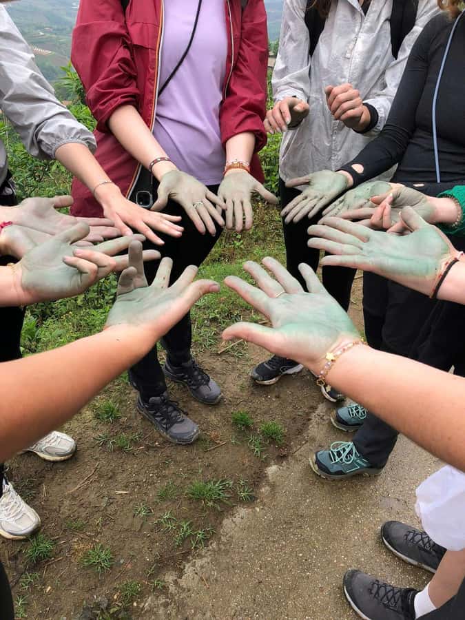 Discover Sapa: 1-day trek to Y Linh Ho, Lao Chai & Ta Van - Who Will Love This Experience?