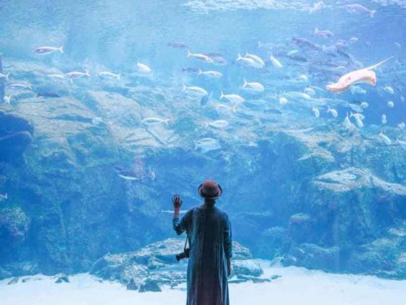 Sasebo: Kujukushima Cruise, Sushi, and Calligraphy Tour - Strolling Through Tunnel Yokocho Market