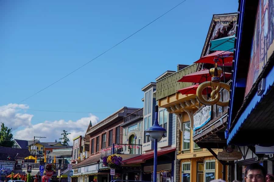 Poulsbo: Little Norway Walking Tour - Who Should Take This Tour?
