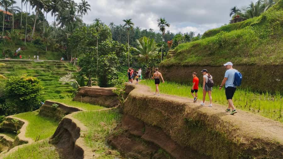 Ubud: Uma Anyar Waterfall, Goa Gajah Temple & Rice Terrace - FAQ