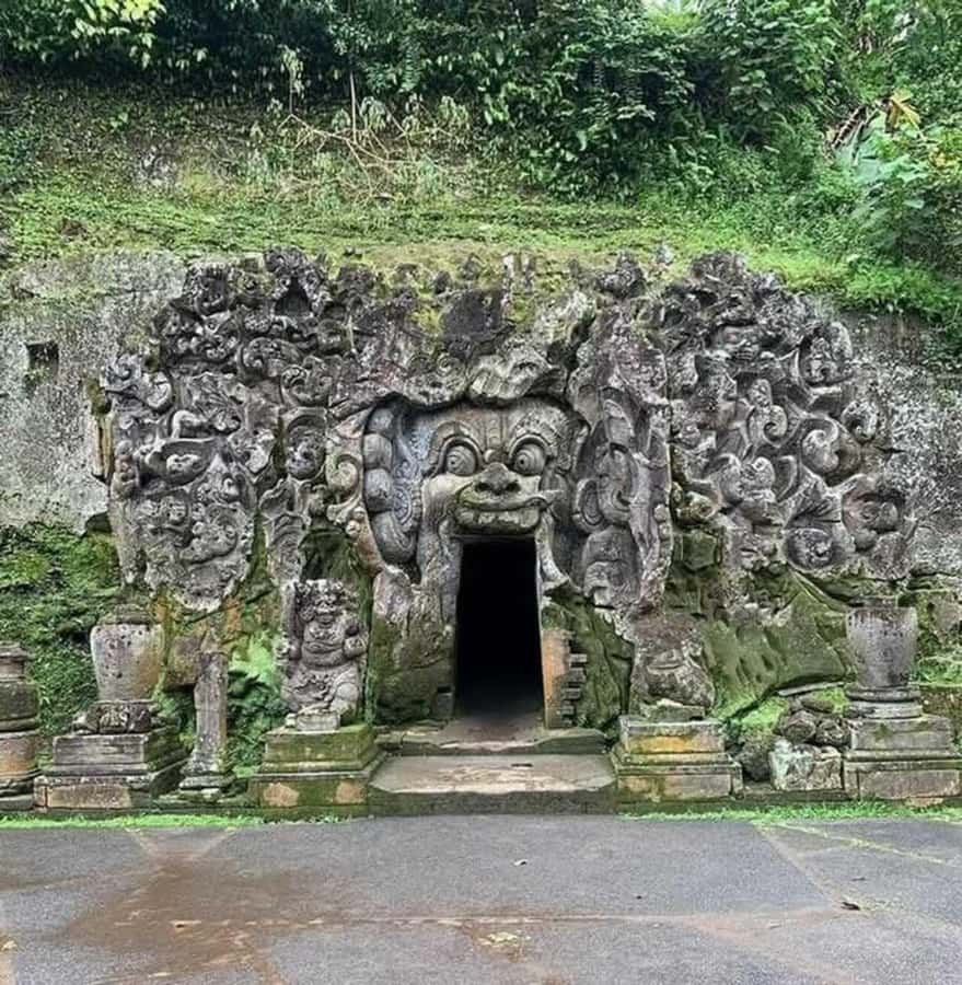 Ubud: Uma Anyar Waterfall, Goa Gajah Temple & Rice Terrace - Who Is This Tour Perfect For?