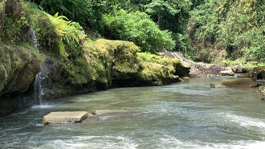 Ubud: Uma Anyar Waterfall, Goa Gajah Temple & Rice Terrace - An In-Depth Look at the Tour