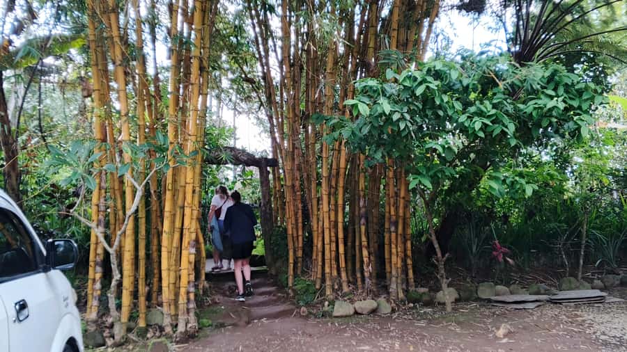 Ubud: Uma Anyar Waterfall, Goa Gajah Temple & Rice Terrace - Final Thoughts