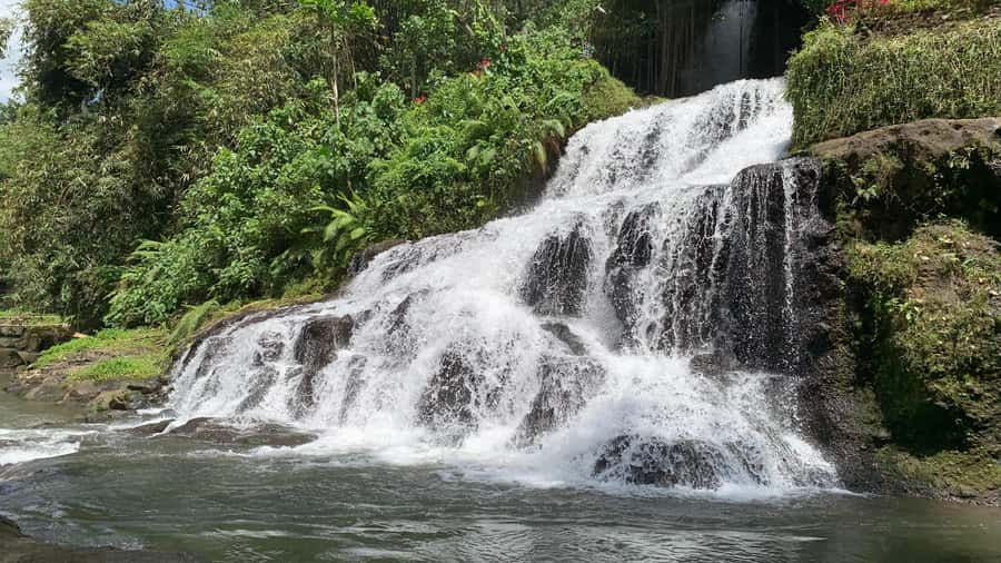 Ubud: Uma Anyar Waterfall, Goa Gajah Temple & Rice Terrace - Key Points
