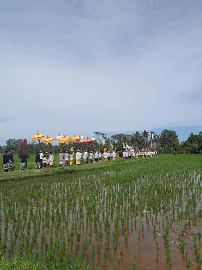 Bali: Village Tour with Coconut Oil and Chocolate Factory - Authentic Experiences That Make This Tour Stand Out