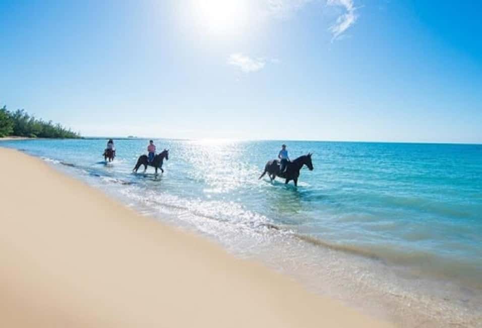 Jamaica: Private Horseback Ride and Swim in the Sea - An Authentic and Well-Organized Adventure