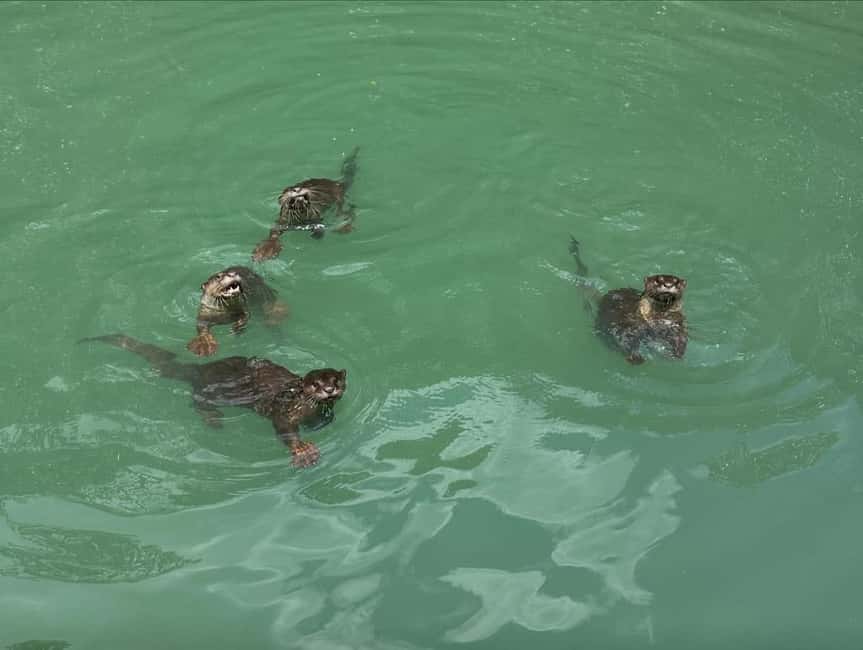 Langkawi: Mangrove Boat Tour w/ Batik Painting & Local Food - Who Will Love This Tour?