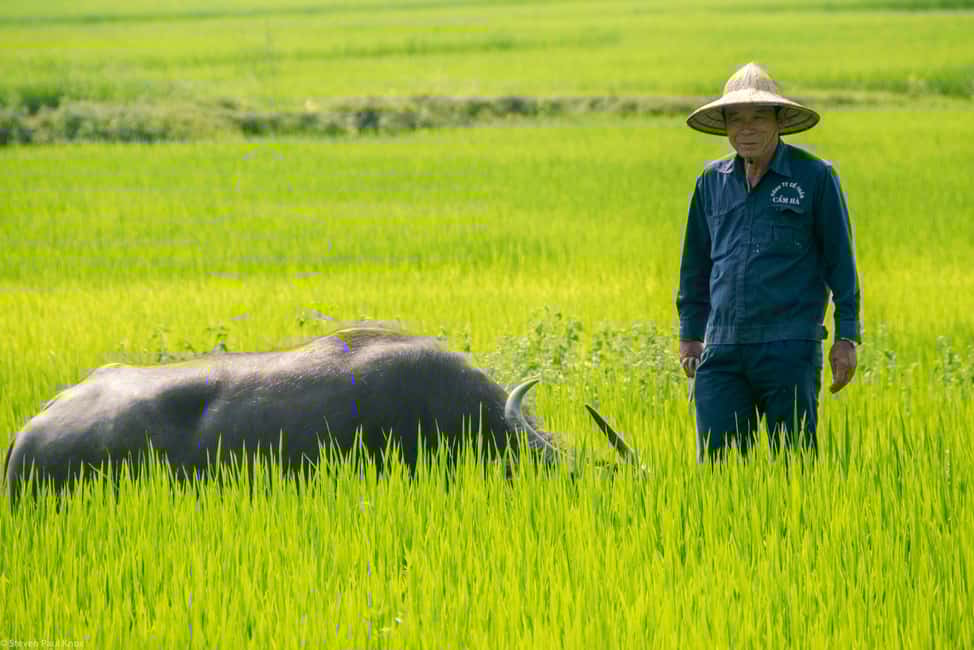 Da Nang: Hoi An, Da Nang, & Bà Nà Hills 4-Day Private Tour - FAQ
