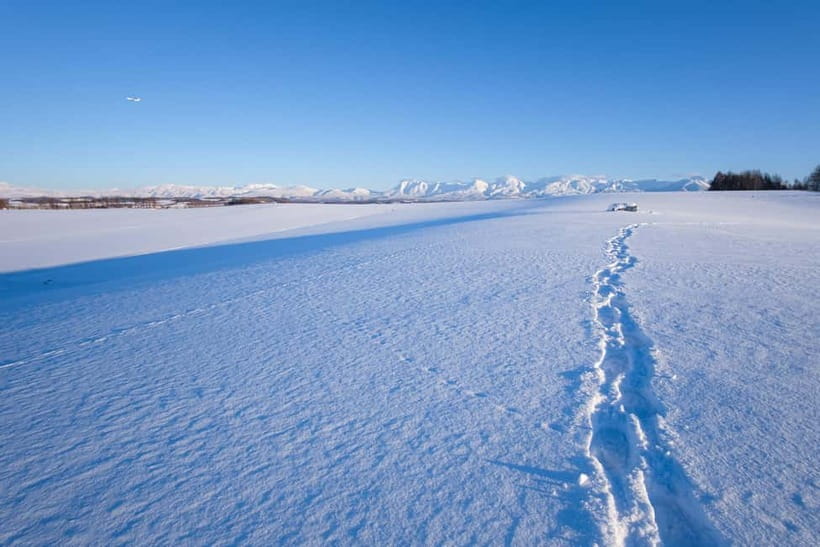 Snowshoeing on a Sparkling Biei Hill & Winter Cafe Time - The Cozy Cafe Experience