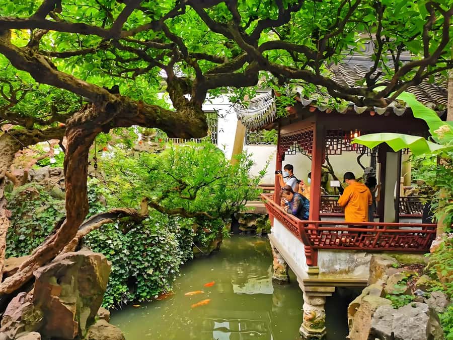 Shanghai: Private Yu Garden 1.5 Hour In-depth Guided Tour - The Guided Tour Experience: What’s Included