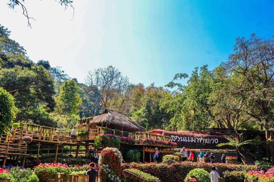 The essence of northern Thailand: Chiang Rai day trip - Exploring Northern Thailand’s Highlights