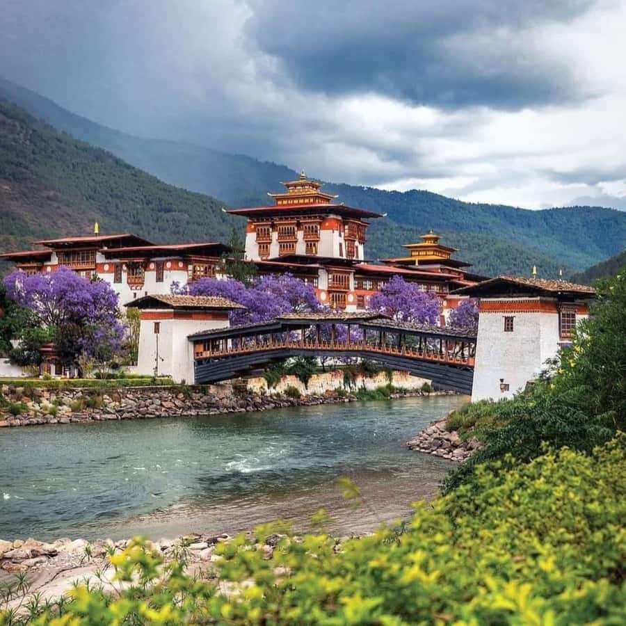 Bhutan: 7-Night Cultural Tour with Rafting & Hikes - Good To Know