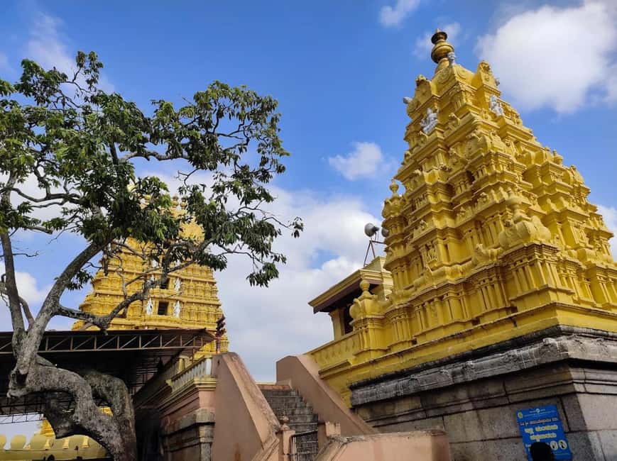 Day Trip to Mysore from Bengaluru with Car, Lunch, and Guide - FAQs