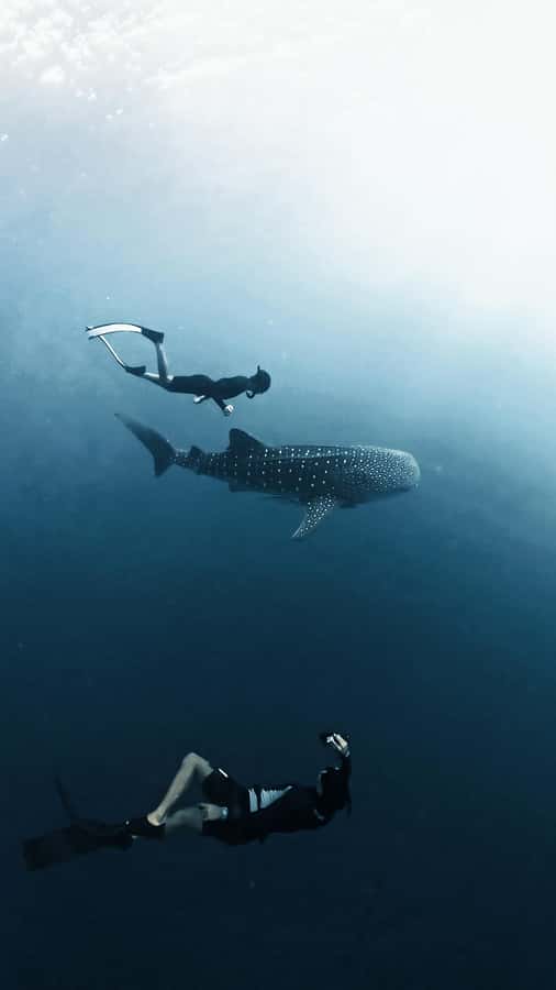 Sumbawa Package: Explore with Private or Shared Group - How This Tour Stands Out