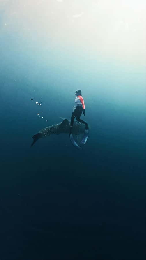 Sumbawa Package: Explore with Private or Shared Group - The Experience Breakdown