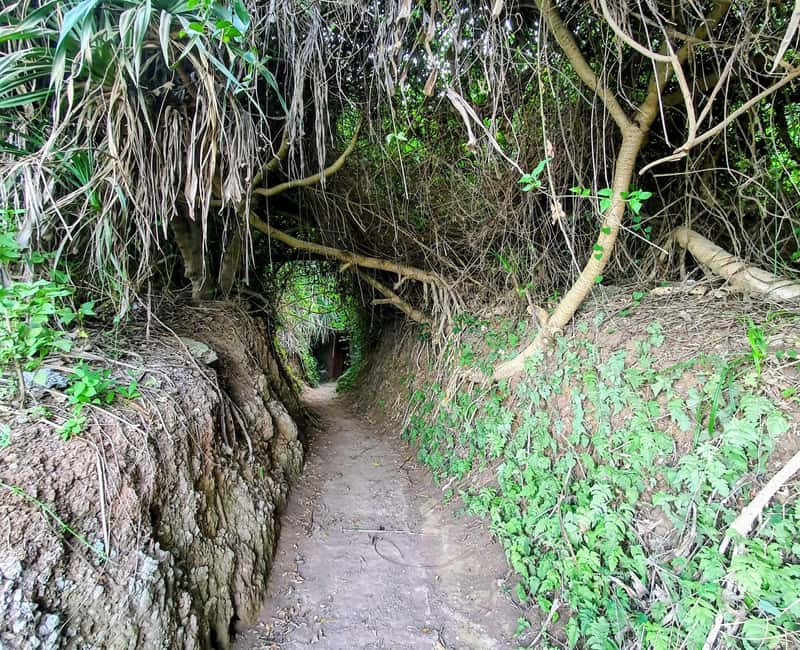 Hue: Private Transfer to Phong Nha with DMZ Tour - FAQ