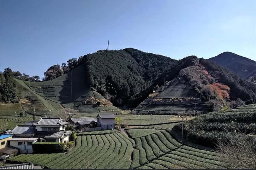 Shizuoka: 6-hour Private Tour & Japanese Tea Farm w/ Vehicle - FAQ