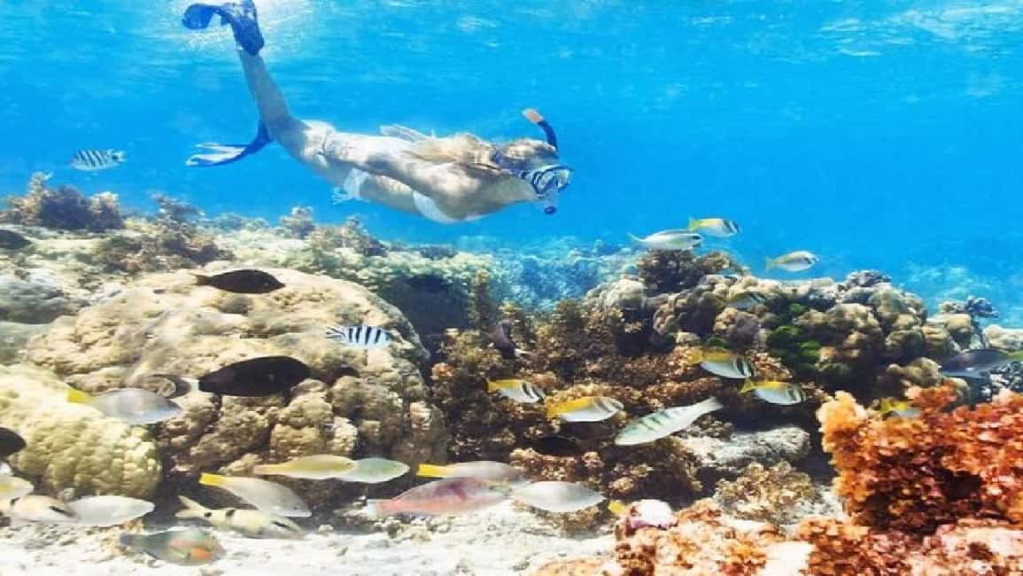Punta Cana: Reef Explorer Snorkeling and Massage Tour - Practical Details & Tips