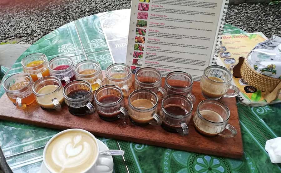 Ubud: Exclusive Track ATV/QUAD Ride and Coffee Luwak Tour - Frequently Asked Questions