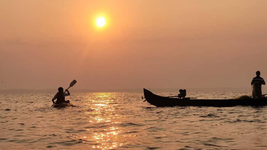 Kerala: SUP or Kayak to Bird's Island with Nature Walk - Pricing & Value
