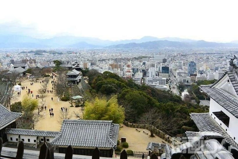 Matsuyama Private Tour with Government-Licensed Guide - What Do You Get for $101?  