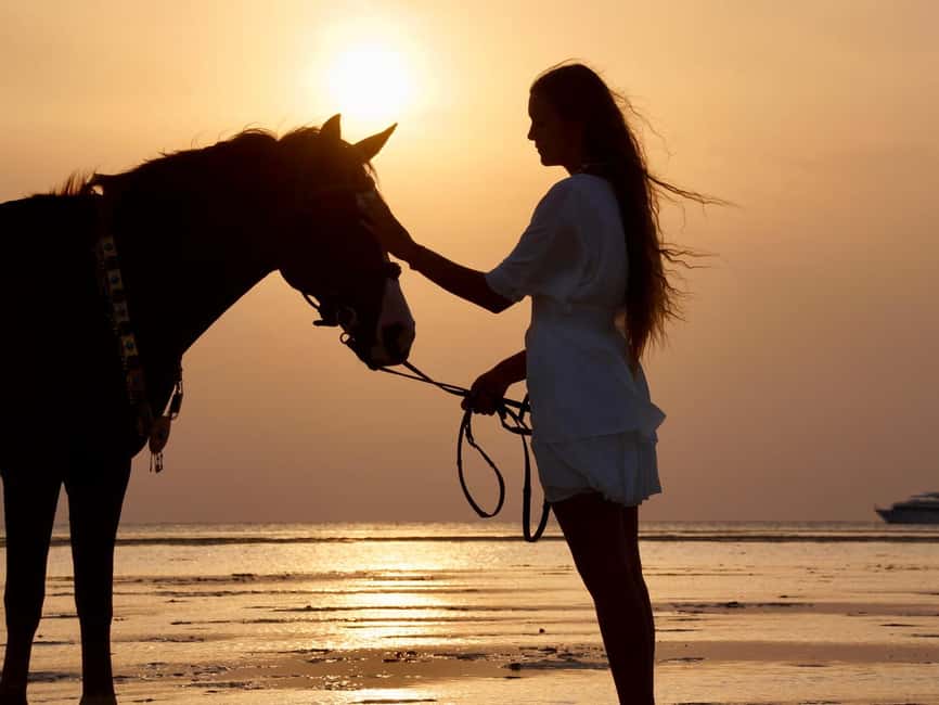 Makadi Bay: Horse Riding in Desert & Sea w Guide + Transfers - Key Points