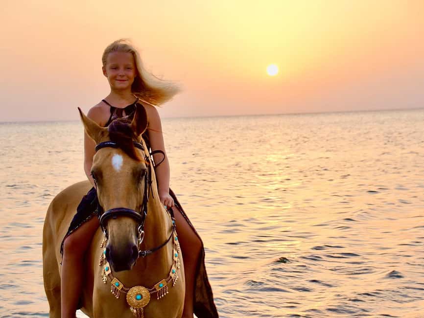 Makadi Bay: Horse Riding in Desert & Sea w Guide + Transfers - Practical Tips for Your Horseback Ride