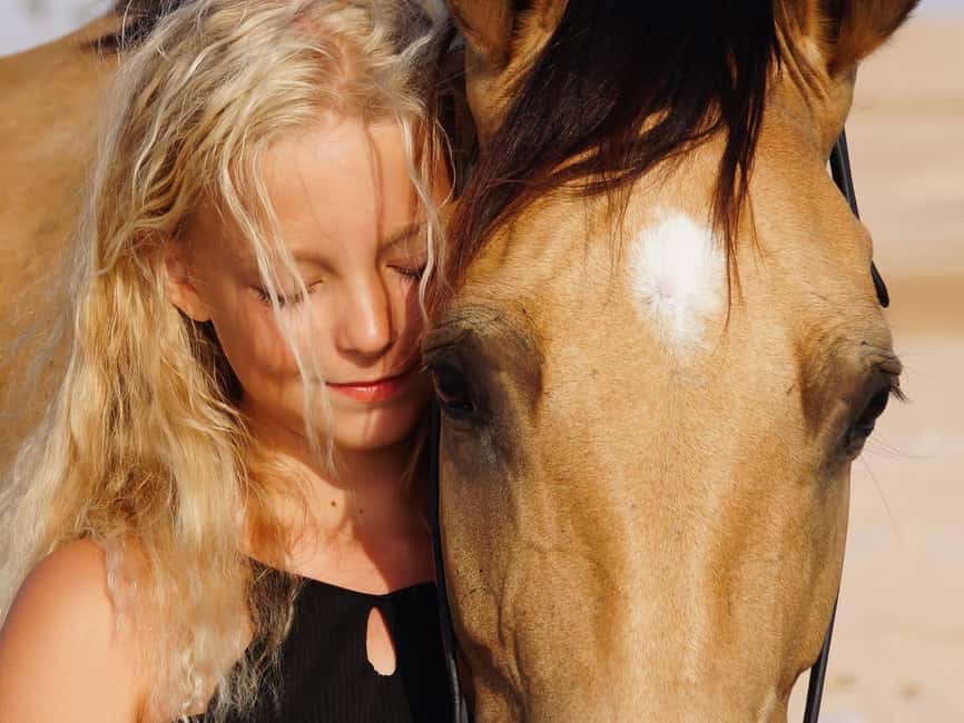 Makadi Bay: Horse Riding in Desert & Sea w Guide + Transfers - The Sum Up