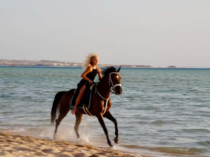 Makadi Bay: Horse Riding in Desert & Sea w Guide + Transfers - Who is this tour best for?  