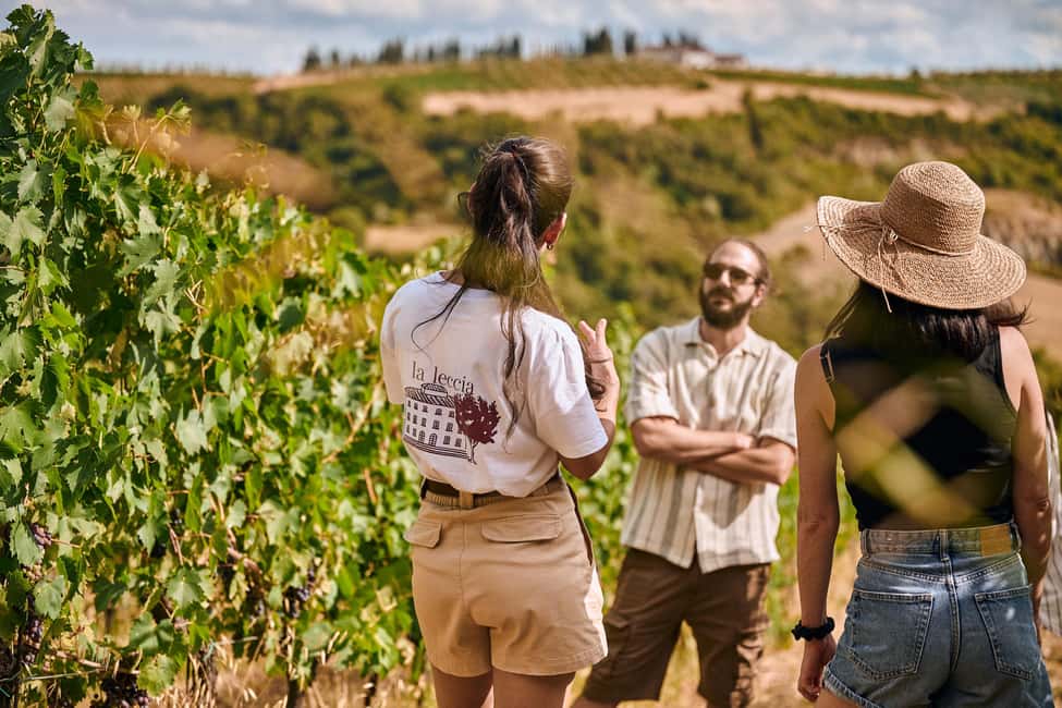 Fattoria La Leccia, Monterspertoli: vineyard walk & tasting - A Scenic Journey into Tuscany’s Heartland