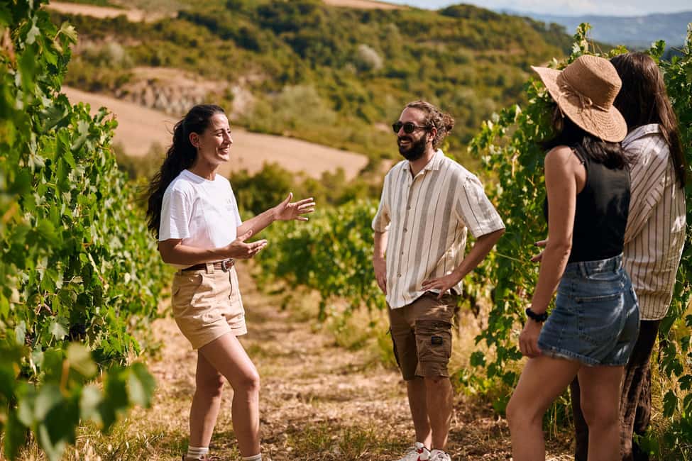 Fattoria La Leccia, Monterspertoli: vineyard walk & tasting - Fattoria La Leccia, Monterspertoli: Vineyard Walk & Tasting