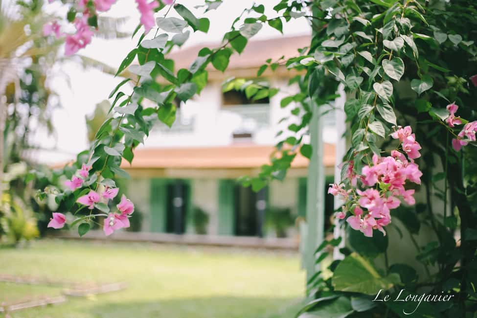 Cai Be Charm: Lunch at Le Longanier Estate - The Scenic Views and Atmosphere