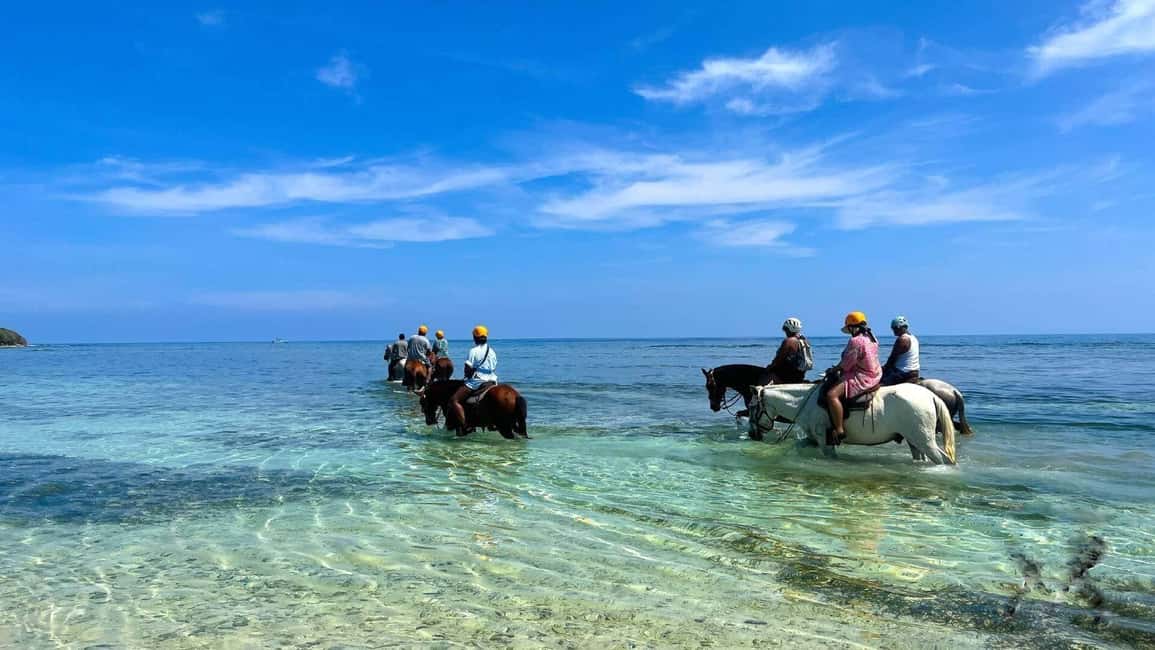 Punta Cana: Uvero Alto Beach Horseback Riding Tour - Good To Know