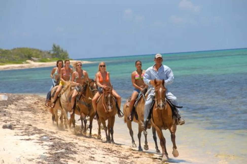 Punta Cana: Uvero Alto Beach Horseback Riding Tour - Additional Insights from Reviews