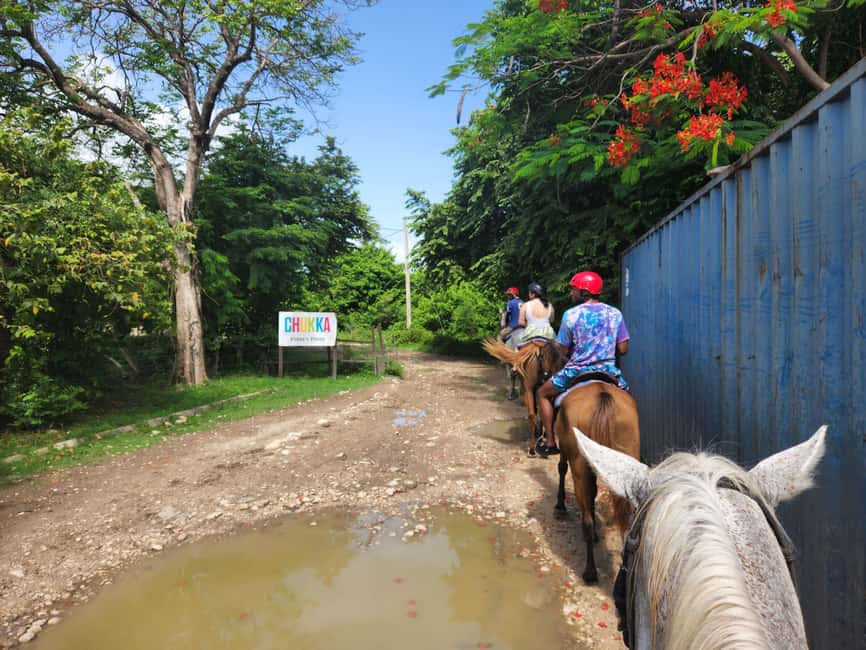 Punta Cana: Uvero Alto Beach Horseback Riding Tour - The Value of the Tour: What You Get for Your Money