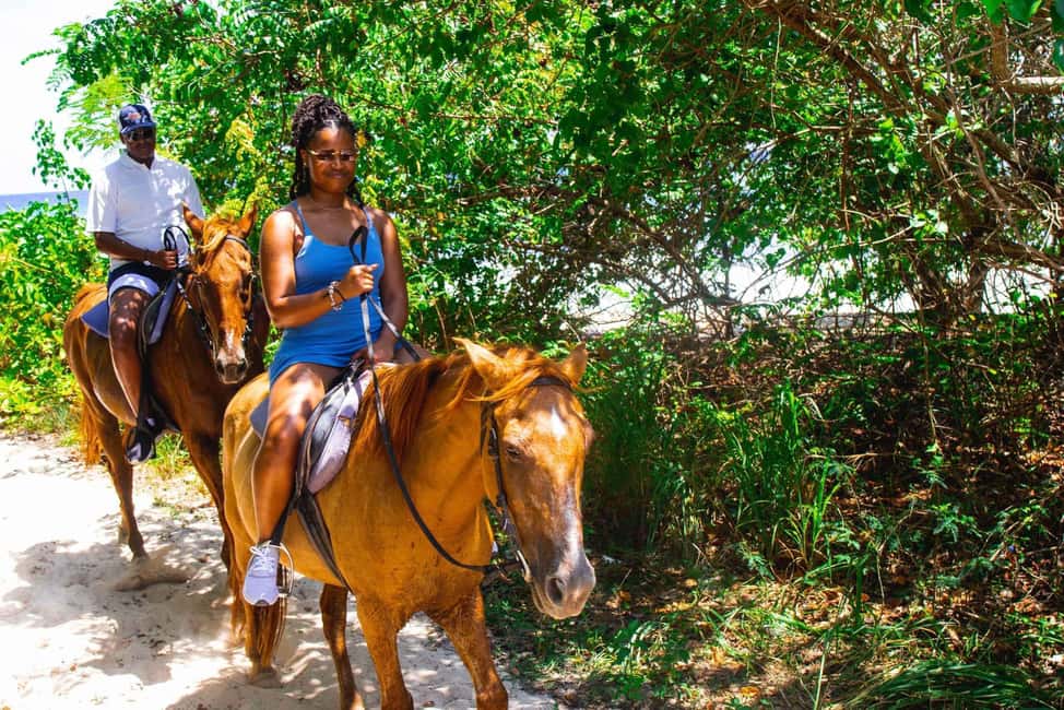 Punta Cana: Uvero Alto Beach Horseback Riding Tour - What This Tour Offers: An In-Depth Look