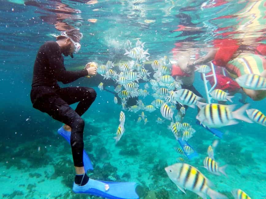 All Resorts: Ricks Cafe Sunset Catamaran Cruise - FAQ