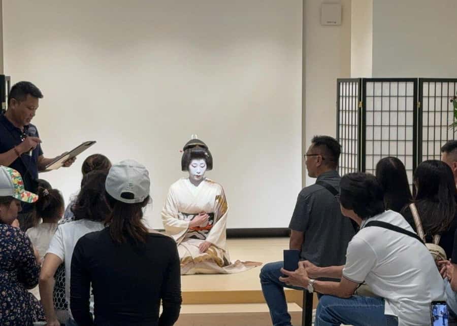 Osaka: 6hr Private Guided Tour with Geisha Performance - Introduction