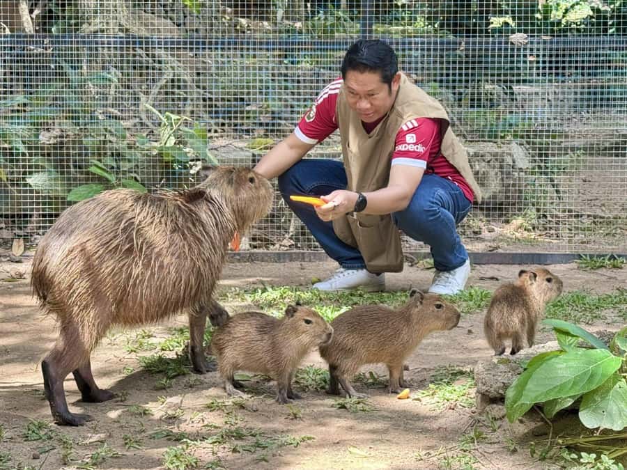 Pattaya: Khao Kheow Zoo & J-Park Japanese Village Day Trip - Practical Details and Value