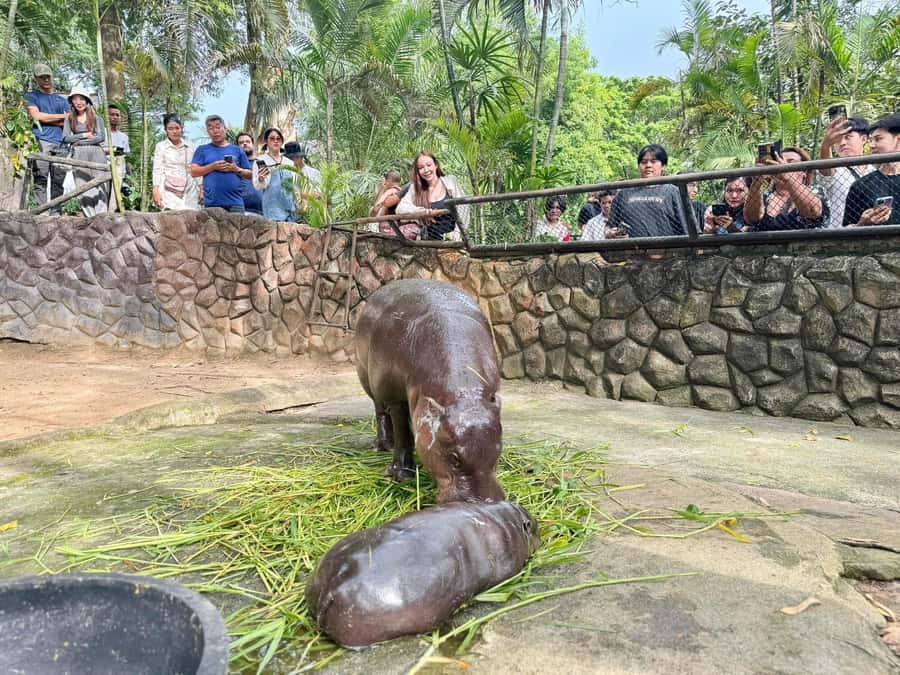 Pattaya: Khao Kheow Zoo & J-Park Japanese Village Day Trip - The Itinerary in Detail