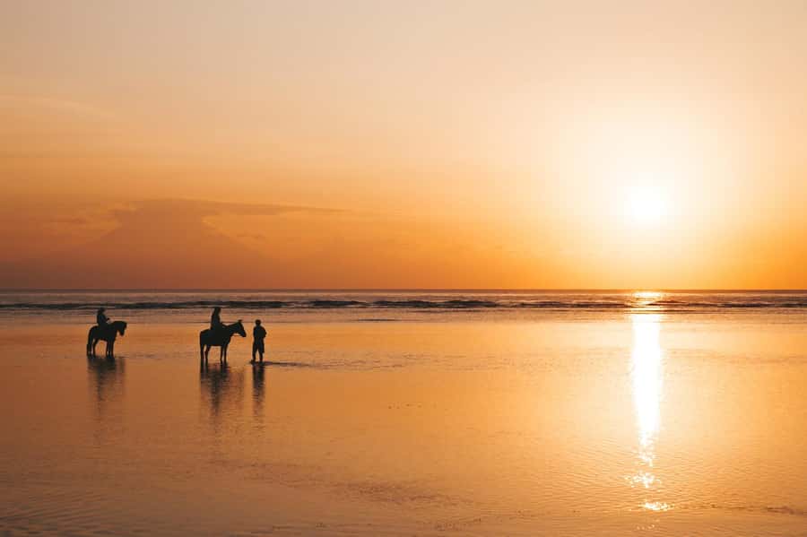 Bali: Private Kudungu Beach and Rice Field Horseback Ride - Introduction