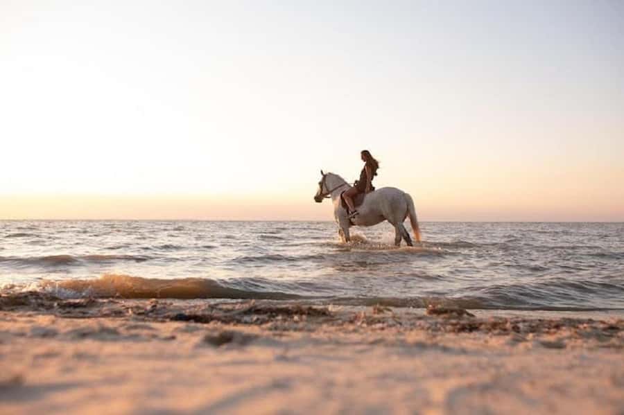 Bali: Private Kudungu Beach and Rice Field Horseback Ride - The Ride Itself: What to Expect