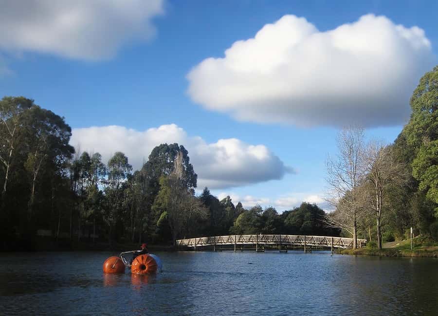 Puffing Billy Penguin Parade Mercedes Minibus Hotel Pickup - Who Should Consider This Tour?
